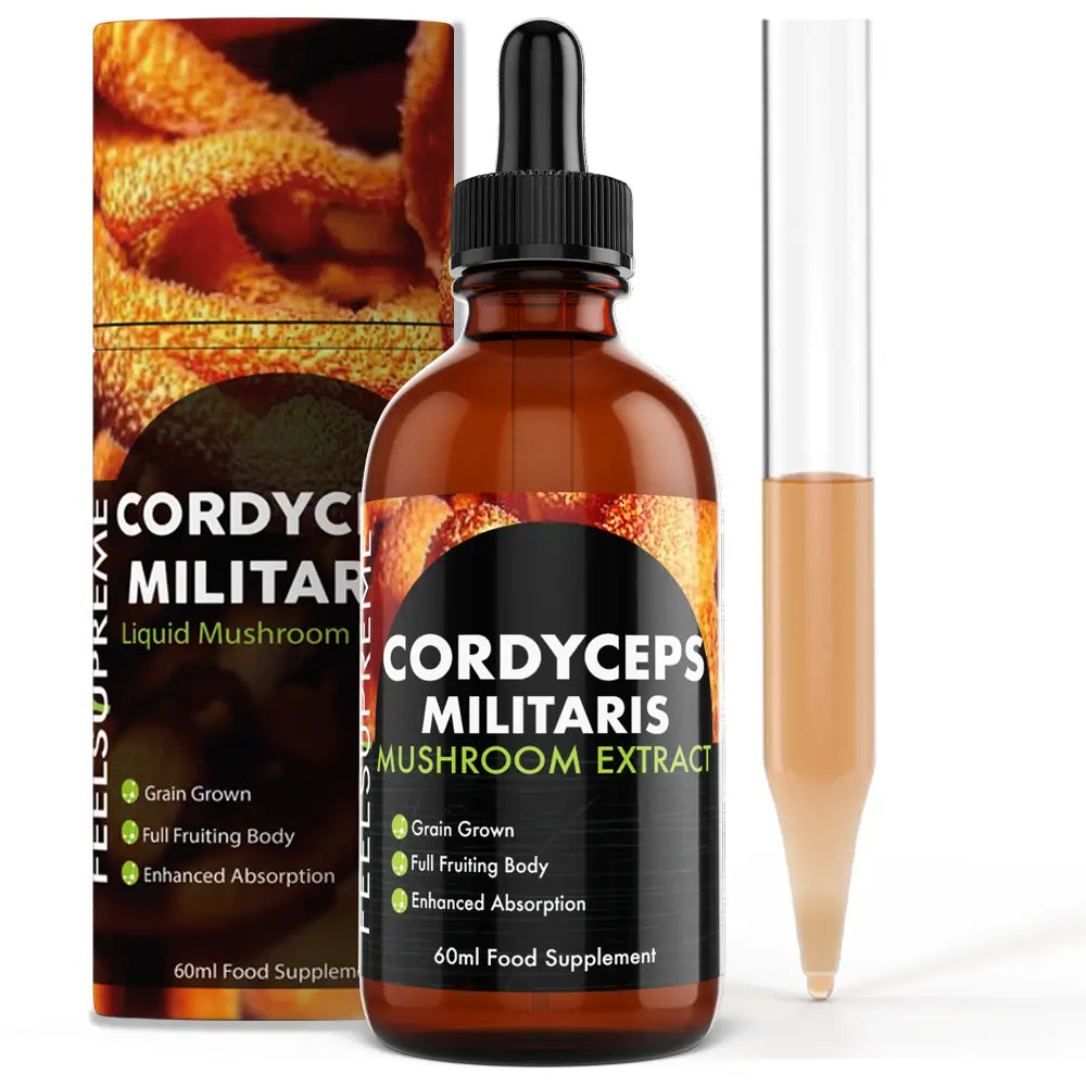 Flüssigextrakt aus Cordyceps Militaris – Feel Supreme