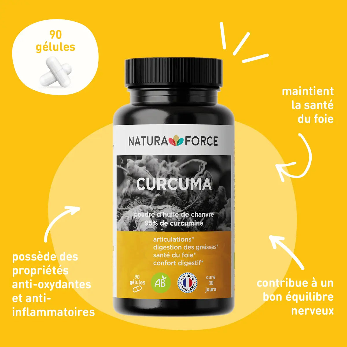 Curcuma BIO - Natura Force | Puissant Anti-Inflammatoire & Digestion