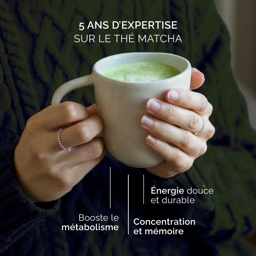 Thé Matcha de Cérémonie BIO – Qualité Premium | Anatae