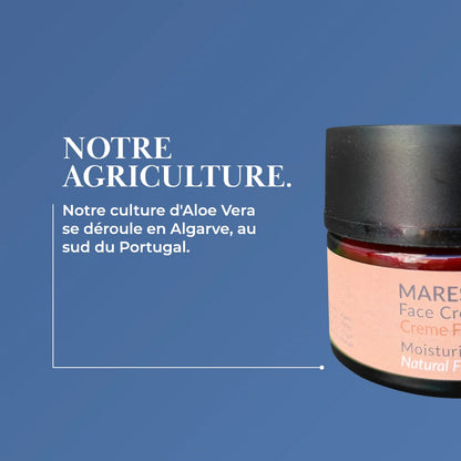 Aloe Vera "Maresia" Crème pour le Visage Anti-Âge et Illuminateur 50 ml - Aloegarve